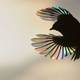 Illustration for article titled Wildlife Photo Contest Shows Nature Can Be Cruel—But Also Kind
